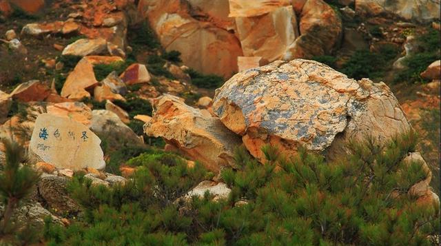 莆田的天涯海角,湄洲岛鹅尾神石园,好美!