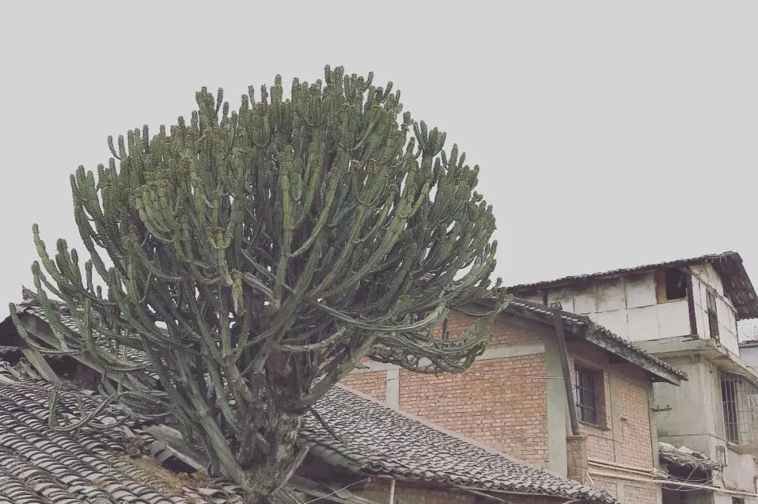 10个最好用的修图App,废片变大片!