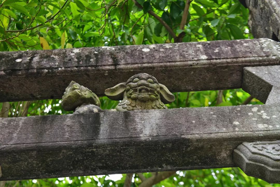 湛蓝的海、湛蓝的天,乘坐高铁4天3晚带你游湛江