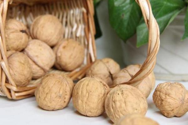 桃壳功效与作用及禁忌,煮核桃壳有什么功效与