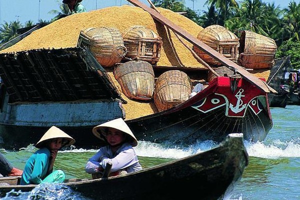 越南宣布对5国免签,却没有中国?中国多年成为