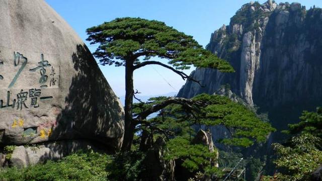 安徽未来经济发展要碾压河南,除了郑州外,这三