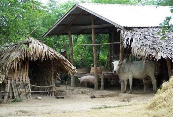 浙江绍兴哪里最富, 哪里最穷?