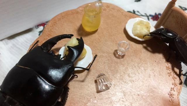 活久见,屎壳郎当宠物养,屎壳郎画一幅画价值2