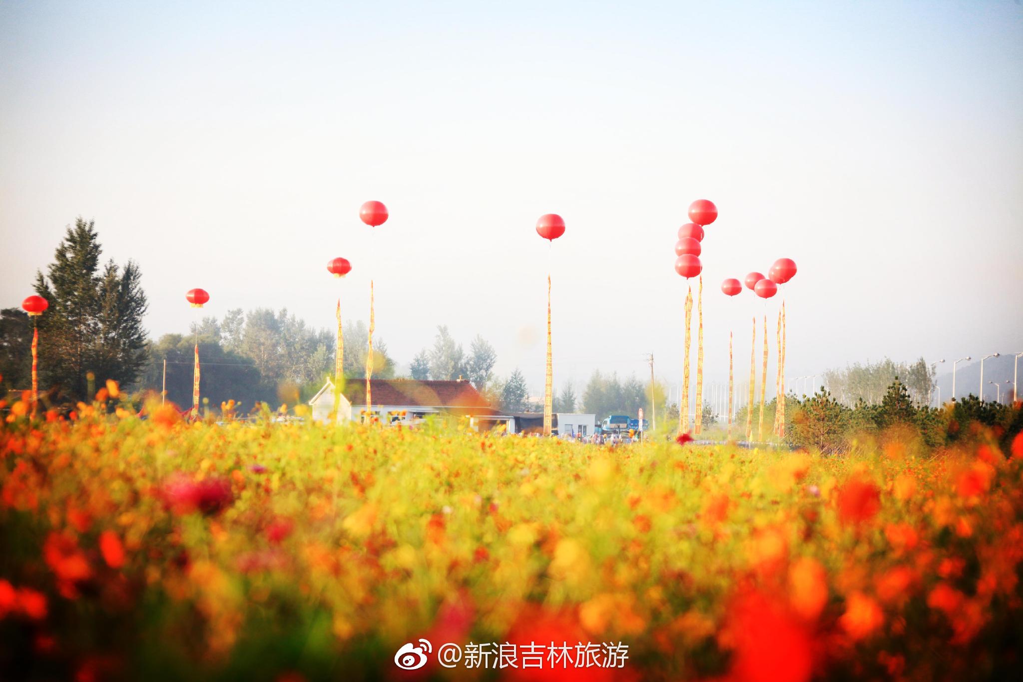 2018中国长春莲花山首届花海艺术节将于7月28日正式开幕