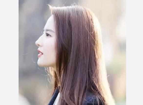 当红女星侧脸照,赵丽颖极致动人 刘亦菲美如画 杨幂却