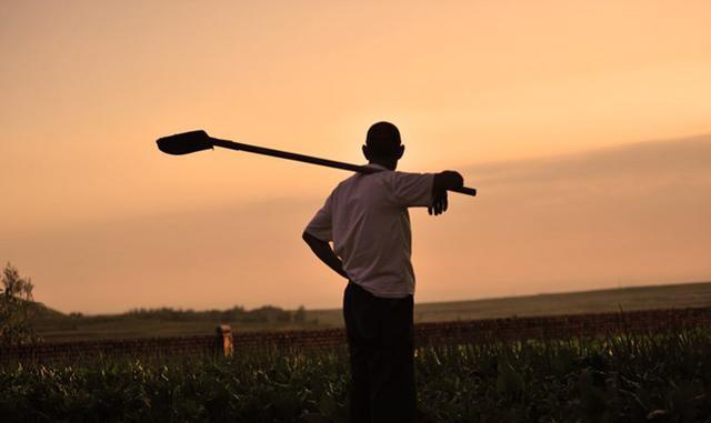 在农村种地有没有前途? 能过上富裕的日子吗?