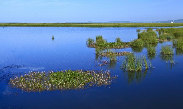 成都到若尔盖自驾游租车多少钱？