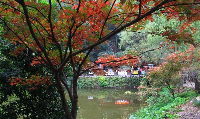 唐诗里的景点——岳麓山行