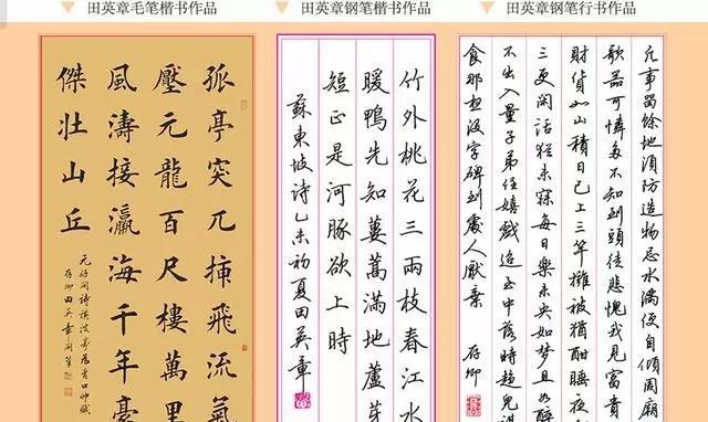 初学练字:钢笔练字有技巧。中性笔练字大势所