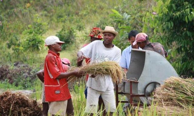 去非洲的中国人到那都不愿意回来, 并称那块是“仙境”?
