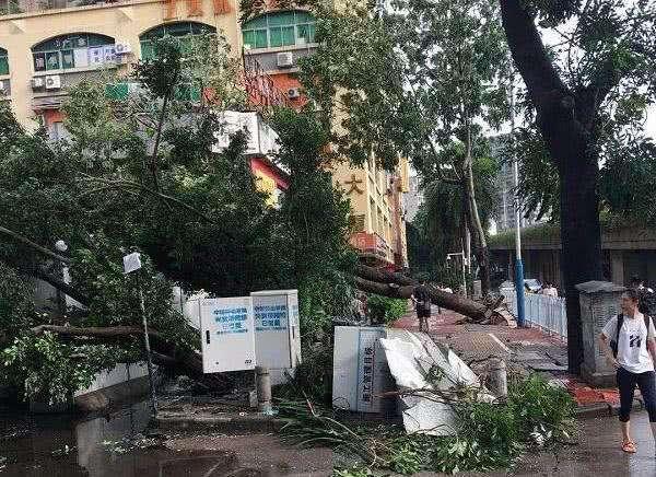 山竹走后二手车市大量泡水,老师傅告你,这种车