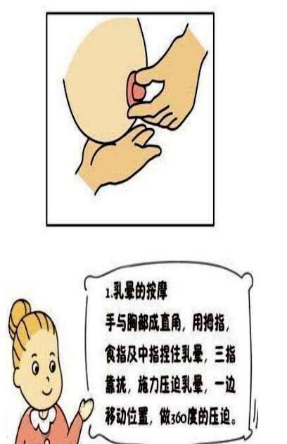 什么时候断奶最好? 把握好断奶的黄金时间!