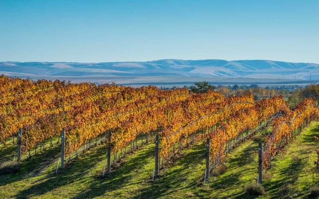 明年1月份最适合去旅游的10个地方,一起来看看