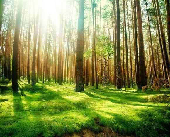 早上起床心情不好的说说带图片,句句戳中泪点