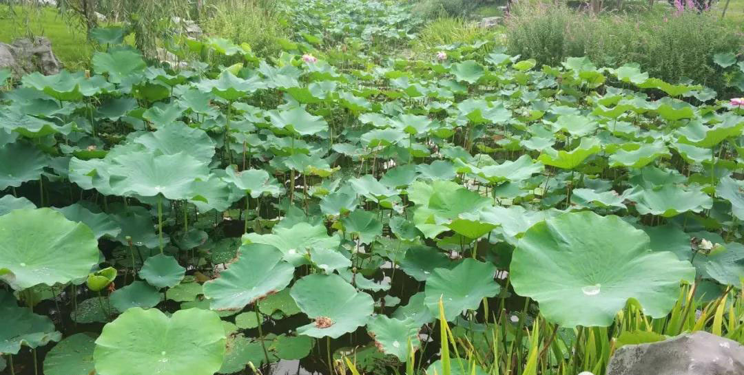 从学渣到学霸 | 回顾我的大学成长之路