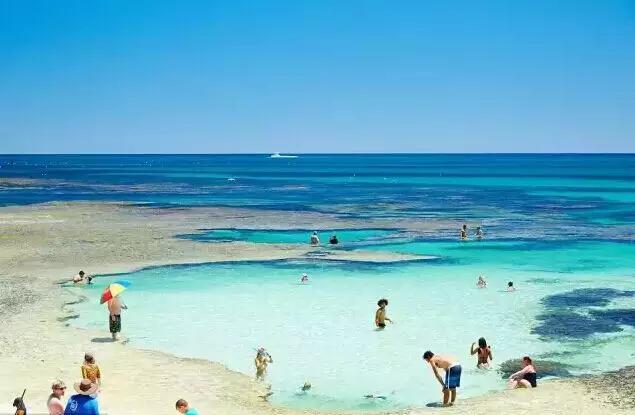 澳大利亚被称为骑在羊背上的国家