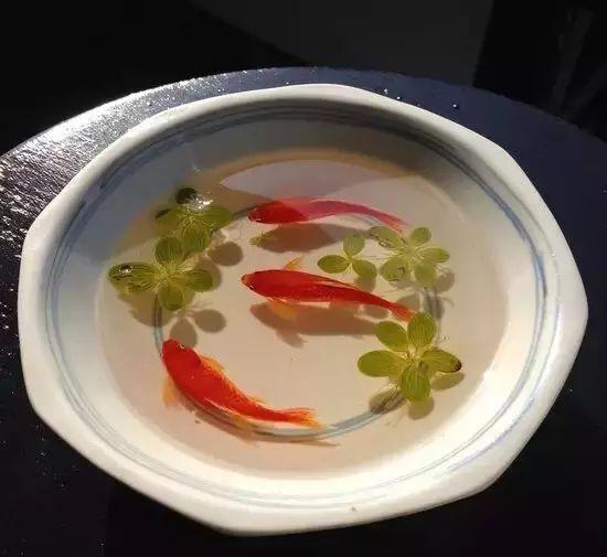 树脂绘画：他们画出的鱼很真实，真实到可以欺骗你的眼睛！