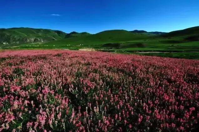 2018年新疆环线旅游路线推荐