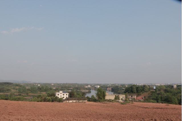 泸州首个迷迭香种植基地就在这儿! 泸州首个迷迭香种植基地就在这儿!