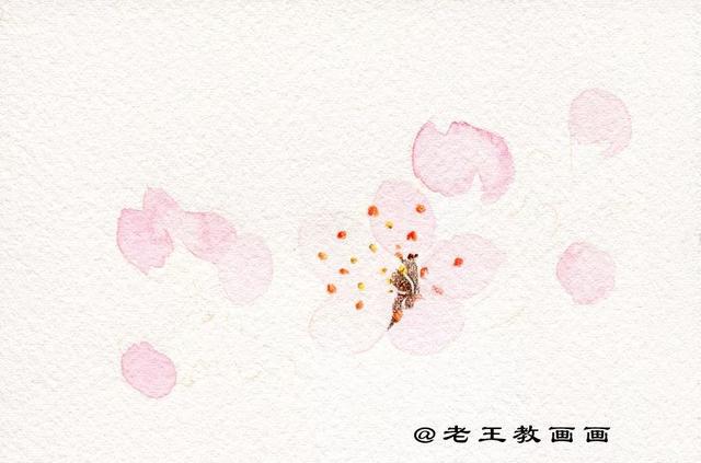 手把手教你画彩铅桃花