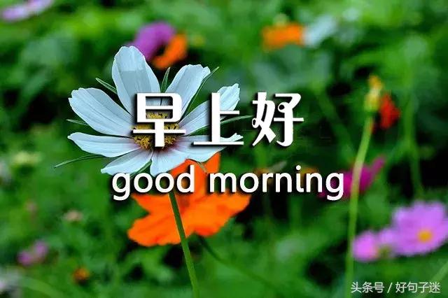 早上好周末愉快祝福语带图片,适合发朋友圈的早安语录