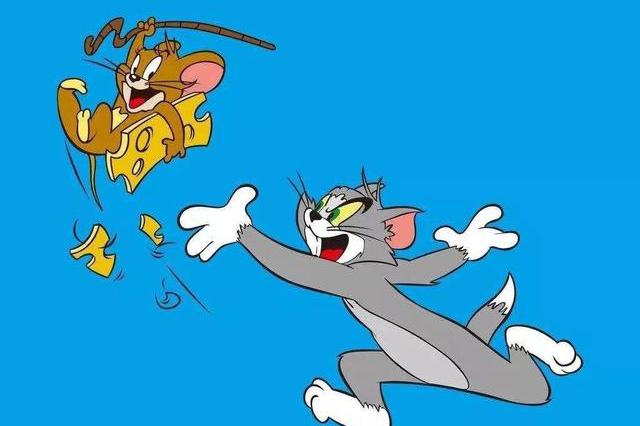 猫和老鼠之寻宝