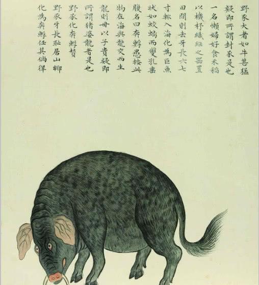 猪八戒为啥说自己一生好打死蛇？其中藏着八戒前世的一个大秘密