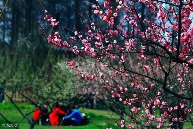 中国人口最多的县市, 安徽三县广东广西各两, 江