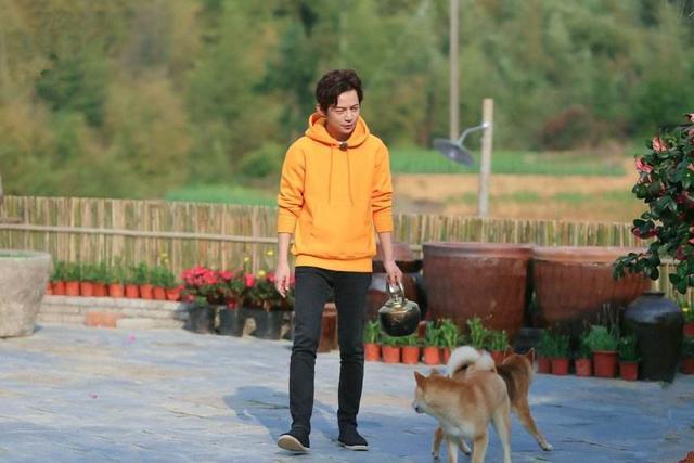 《向往的生活》张子枫因害羞不敢提此行目的,