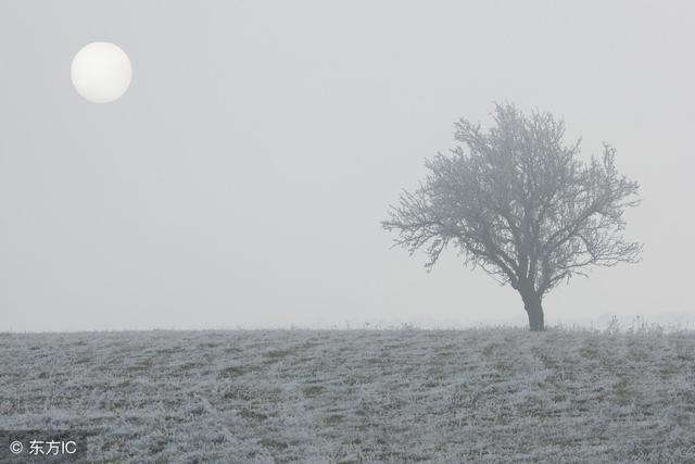 霸气有道理的说说,句句超拽现实,冷酷女生一看