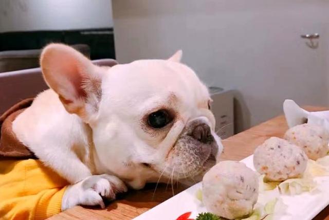 漫画:狗狗真的是人类最好的朋友!