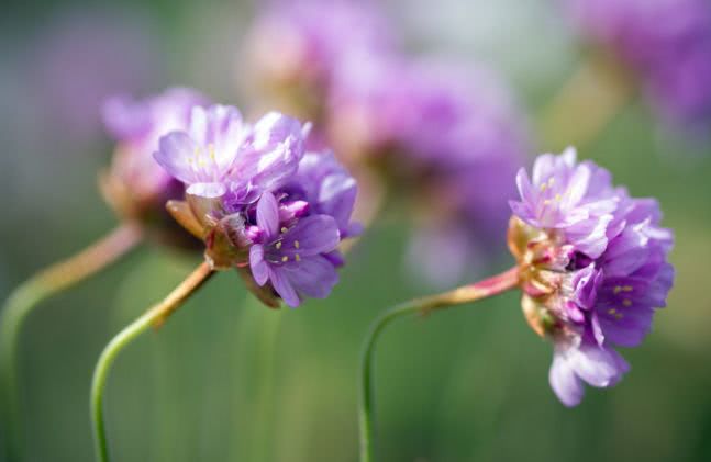 情感语录:最近抖音上很火的一段话