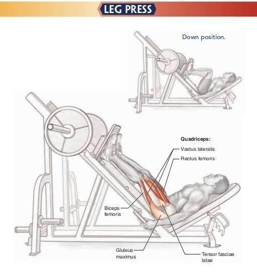 健身房练腿,只知道深蹲?9个常见虐腿动作,坚持