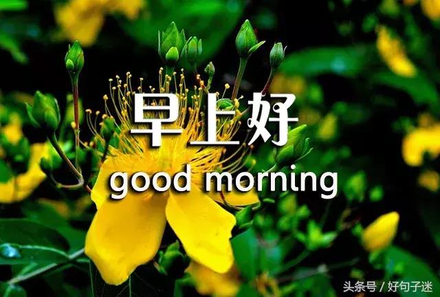 早上好周末愉快祝福语带图片，适合发朋友圈的早安语录