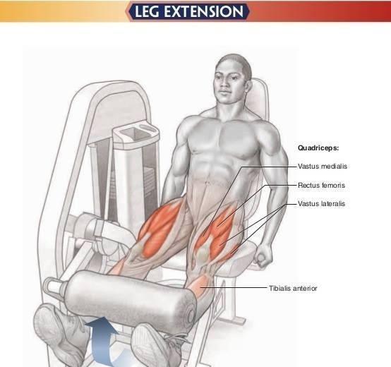 健身房练腿,只知道深蹲?9个常见虐腿动作,坚持