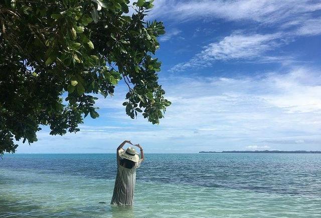 去过一次才知道为什么帕劳是上帝的水族箱