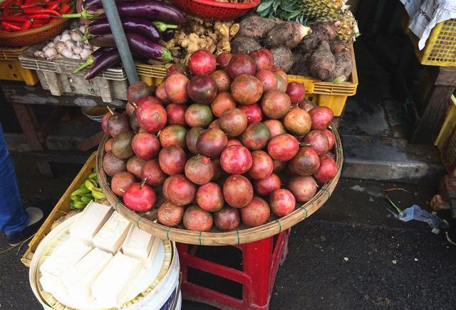 夏天去下龙湾旅游, 你得小心了! 越南人专宰中国游客