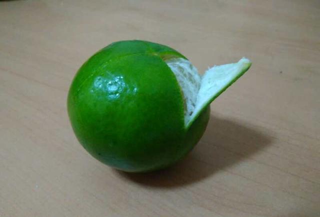 原来进贡给皇帝吃的贡柑, 现在一上市就卖10块