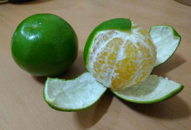 原来进贡给皇帝吃的贡柑, 现在一上市就卖10块