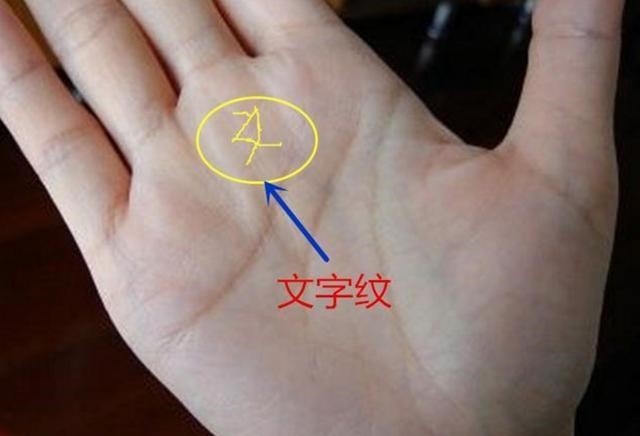 教你怎样看清手相,看懂子女线, 千万别看错!