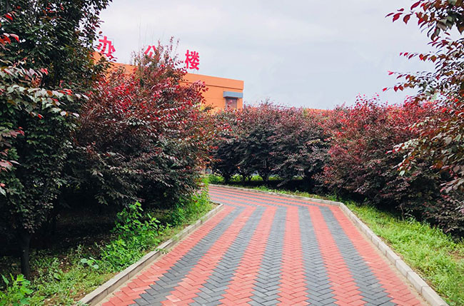 雄安之声:雄县增民职业培训学校:培养技能人才