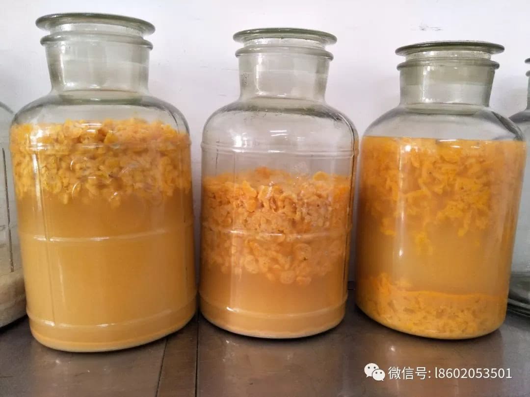 不同的季节,用什么水果酿酒比较好?