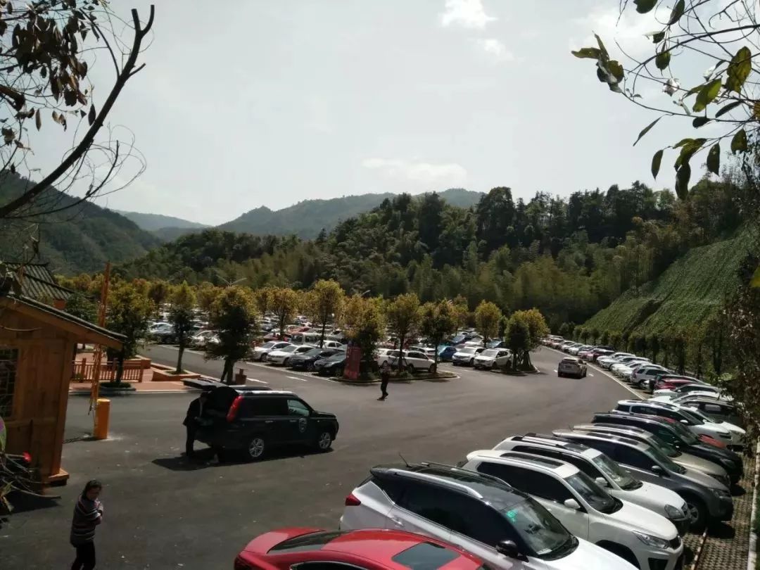 遵义旅游——大交通助推假日旅游效果明显230万余人清明游遵义 遵义旅游——大交通助推假日旅游效果明显230万余人清明游遵义