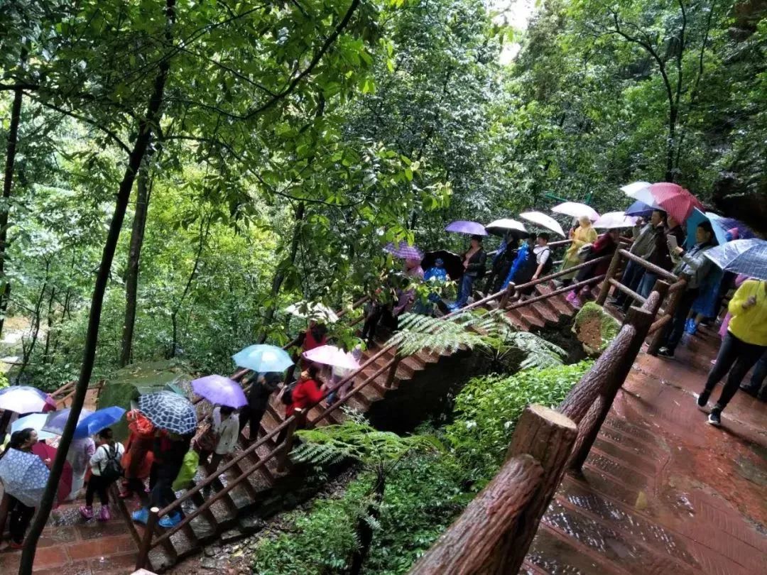 遵义旅游——大交通助推假日旅游效果明显230万余人清明游遵义 遵义旅游——大交通助推假日旅游效果明显230万余人清明游遵义