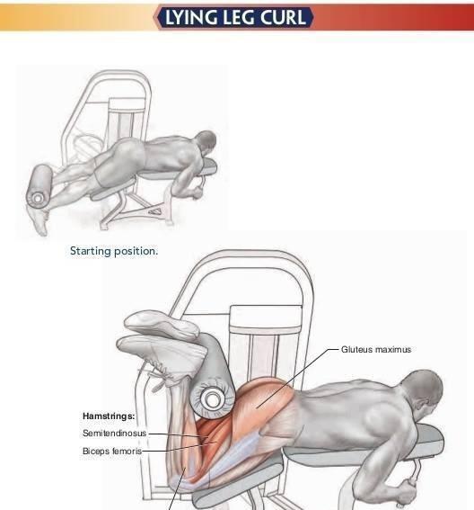 健身房练腿,只知道深蹲?9个常见虐腿动作,坚持