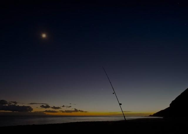 夜钓上半夜和下半夜,哪个时段鱼获好?