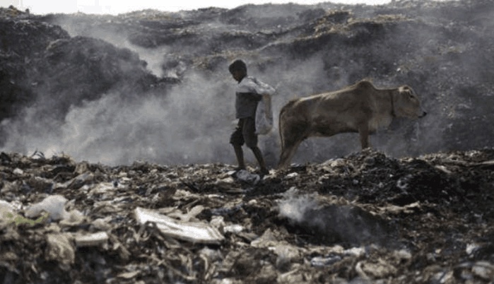 印度首都新德里: 街头几乎看不到垃圾桶, 垃圾堆