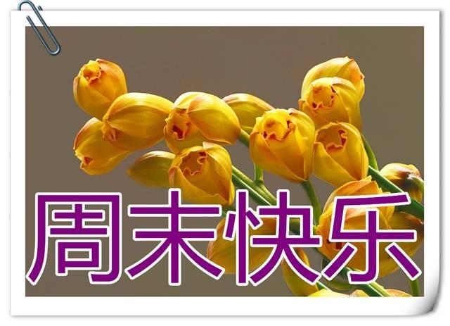 凉拌周一 红烧周二 清蒸周三 油煎周四 爆炒周五 周末愉快!