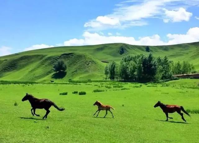 2018年新疆环线旅游路线推荐